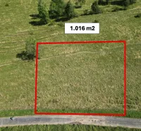 Land 1,016 m² with grass and trees, Stará Ľubovňa, Special properties.