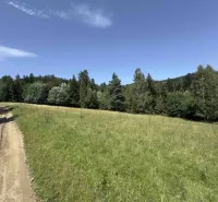 Forest path and meadow surrounded by trees in the area of Stará Ľubovňa, Unique properties.