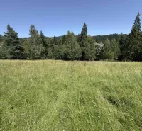 A grassy meadow surrounded by coniferous forests near Stará Ľubovňa, suitable for unique properties.