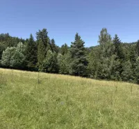 A forest in Stará Ľubovňa surrounded by a meadow, ideal for lovers of unique properties.