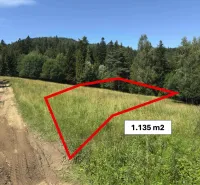 A plot of land near the forest in the area of Stará Ľubovňa, with a marked area of 1,135 m², Special properties.