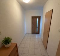 Interior of a 3-room apartment with tiles, a houseplant, and wooden doors.