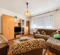 Living room with rustic furniture and animal-patterned upholstery in a studio apartment.