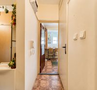 Interior of a 1-room apartment with a hallway and a view into the dining room.
