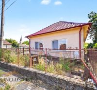 A family house in Vydrany with a red roof, fencing, and a garden full of vegetation.