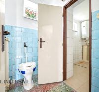 A bathroom in a family house with blue tiles and a separate toilet.