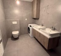 A bathroom with a double sink, a washing machine, and a toilet in a 3-room apartment.