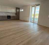 Kitchen and living area with wood-patterned flooring in a 3-room apartment.
