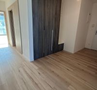 A hallway in a 3-room apartment with a wooden decor floor and a built-in wardrobe.