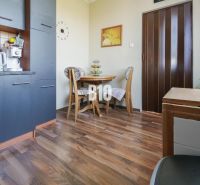 A kitchen corner in a 2-room apartment with a wooden decor floor and a dining table.