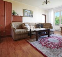 Living room with a sofa, carpet, and wooden decor flooring in a 2-room apartment.