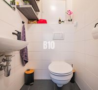 Bathroom in a 3-room apartment, practical shelf, subtle decoration, sanitary equipment.