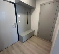Entrance hallway in a 2-room apartment with wood-patterned flooring and storage space.