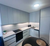 A kitchen in a 2-room apartment with a wooden decor floor and gray cabinets.
