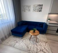 Living room with a blue sofa, table, curtains, and wooden decor flooring.