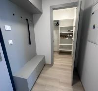 Entrance hallway with a wardrobe and a wooden decor floor in a 2-room apartment.