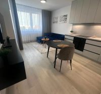 Living room in a two-room apartment with a wooden decor floor, dining table, and sofa.