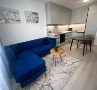 Living room with kitchen in a 2-room apartment, wooden decor flooring, dark blue sofa.