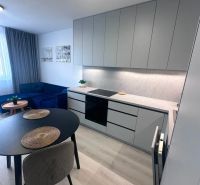 Kitchen corner with a cooktop, round table, sofa, wooden decor flooring.