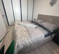 Bedroom in a 2-room apartment with a bed, wardrobe, and wooden decor flooring.