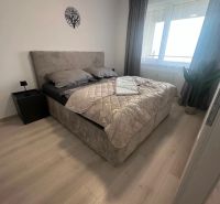 A bedroom in a 2-room apartment with a bed and a wooden decor floor.