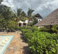 A family house in Fumba Town with a swimming pool, palm trees, and a gazebo on the terrace.