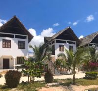A family house in Fumba Town with palm trees and a thatched roof under a blue sky.