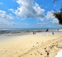 The beach in Fumba Town with fine sand and palm trees on the ocean shore.