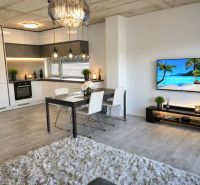 Living room with kitchen, dining table, and wooden decor flooring in a family house.