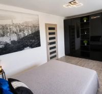 Bedroom with a black wardrobe, large photograph, and houseplants.