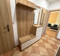 Entrance hall with a mirror and a wardrobe in a 3-room apartment. Floor with wood decor.