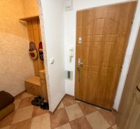 The entrance hall of a 3-room apartment with a wooden decor floor and storage space.