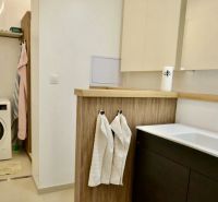 Bathroom in a 3-room apartment with a washing machine, sink, wooden decor, and shelves.