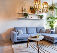 A bright living room with a blue sofa, flowers, and decorative shelves in a two-room apartment.