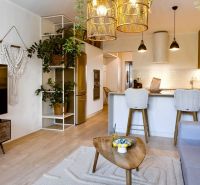 2-room apartment with wood-patterned flooring, plants, and decorative lighting in the living room.