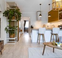 Interior of a 2-room apartment with a kitchen counter, wooden decor flooring, and greenery.