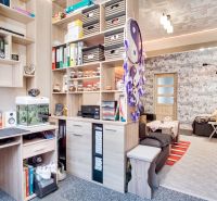 A workspace and living room in a 2-room apartment with shelves and decorations.