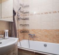 A bathroom in a 2-room apartment with a bathtub, shower, and shelves on the wall.