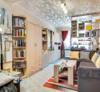 Living room of a two-room apartment with a sofa, bookshelf, and decorations.