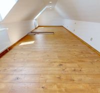 Attic room in a 4-room apartment with a wooden decor floor and skylights.