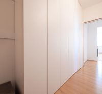 A hallway with a wardrobe and a wooden decor floor in a 2-room apartment.