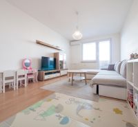 Living room in a two-room apartment with a wooden decor floor, children's furniture, and a couch.