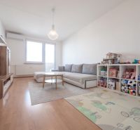 Living room in a two-room apartment with a wooden decor floor and children's toys.
