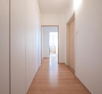A hallway in a 2-room apartment with wardrobes and a wooden decor floor.