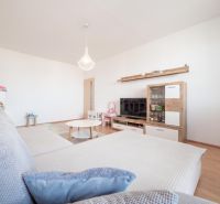 A bright living room with a large sofa, wooden decor flooring, cozy 2-room apartment.