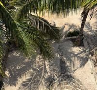 Palm trees in the garden of a family house in Pwani Mchangani cast shadows on the sandy ground.
