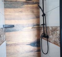 Shower corner with a floor featuring a wooden decor in the Recreational Apartment.
