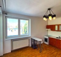 A kitchen in a one-room apartment with space for a dining area and a floor with a wooden decor.
