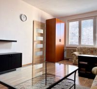 Living room with a sofa, wardrobe, and wooden decor flooring in a 2-room apartment.