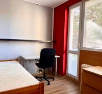 A room in a 2-room apartment with a wooden decor floor, a desk, and a bed.